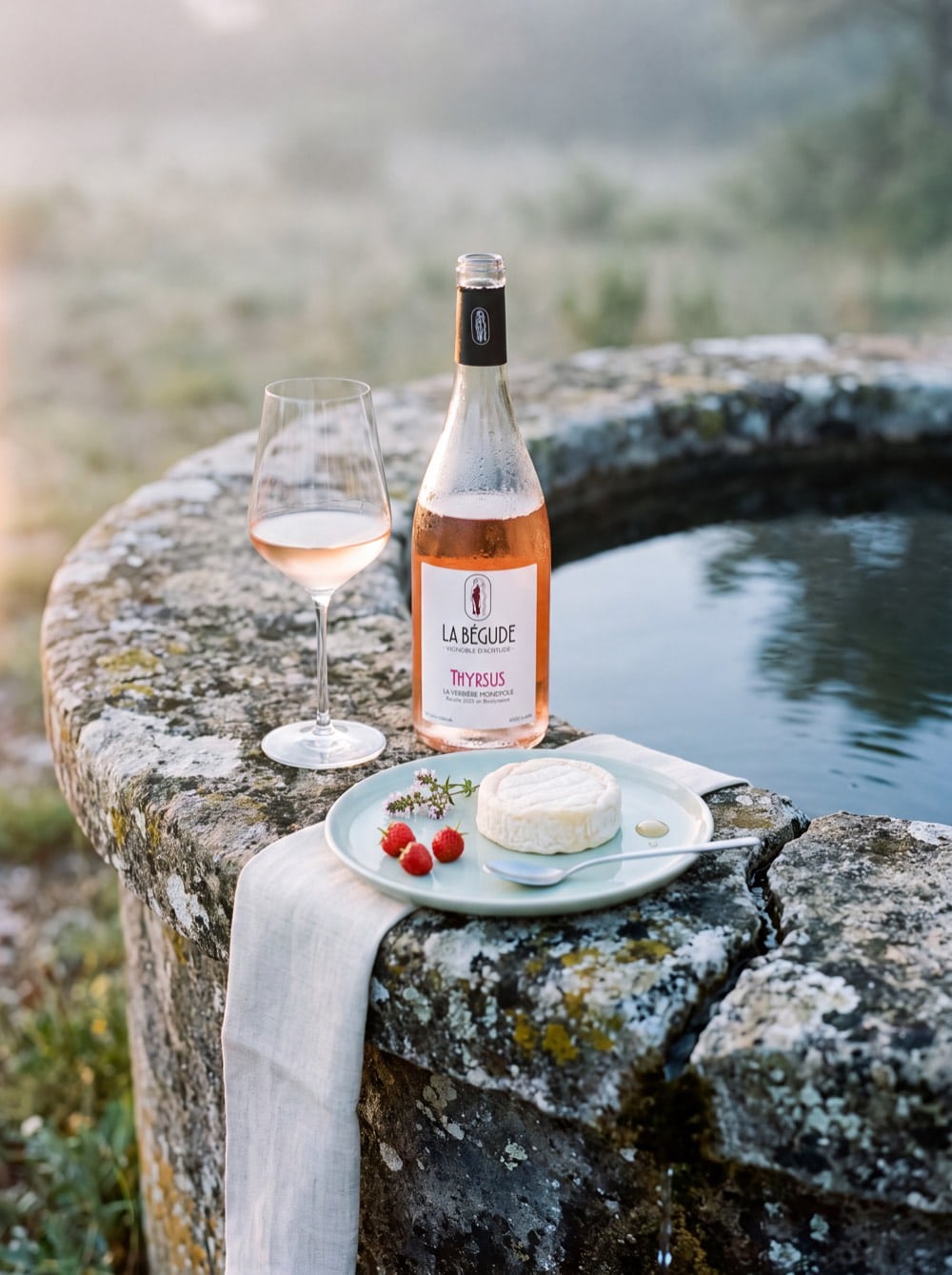 Thyrsus Rosé 2025 et un Saint-Marcellin crémeux